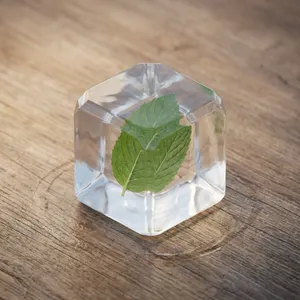 Why Mint Makes Your Mouth Feel Cold (It's a Chemical Illusion)